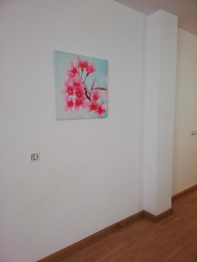Apartamento En Primera Linea De Vera Playa Naturista! Exteriér fotografie