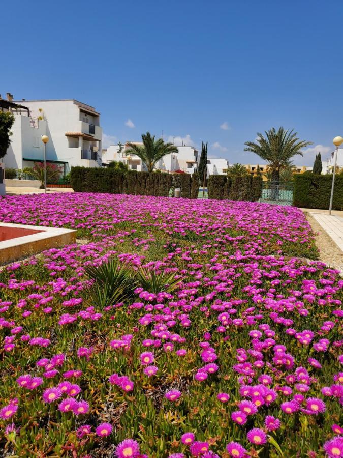 Apartamento En Primera Linea De Vera Playa Naturista! Exteriér fotografie