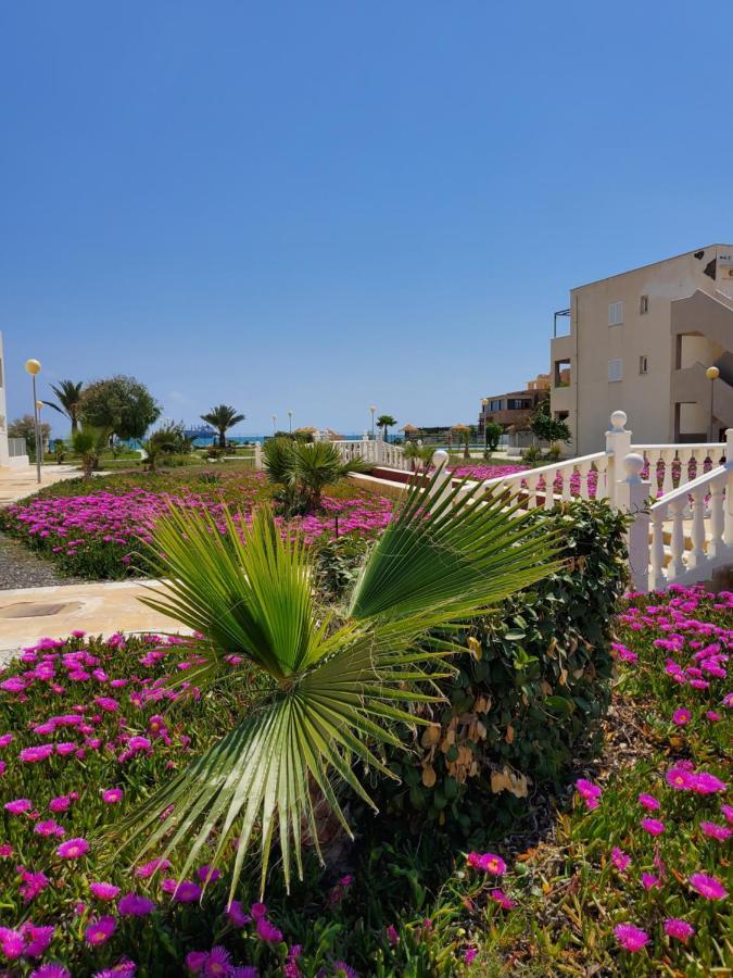 Apartamento En Primera Linea De Vera Playa Naturista! Exteriér fotografie